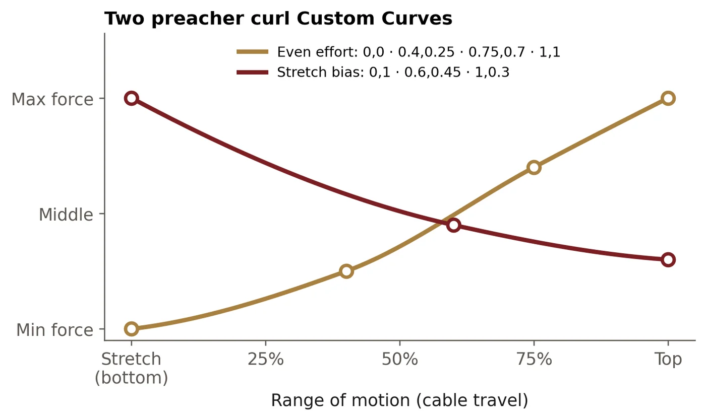 Two preacher curl Custom Curves. Two preacher curl Custom Curves. Even effort (gold) loads the top; stretch bias (burgundy) loads the bottom. The dots are the control points you set in the app. Shapes passed Beyond Power's curve checker; the force values depend on your min and max.